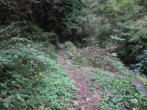 20161014hike (300)